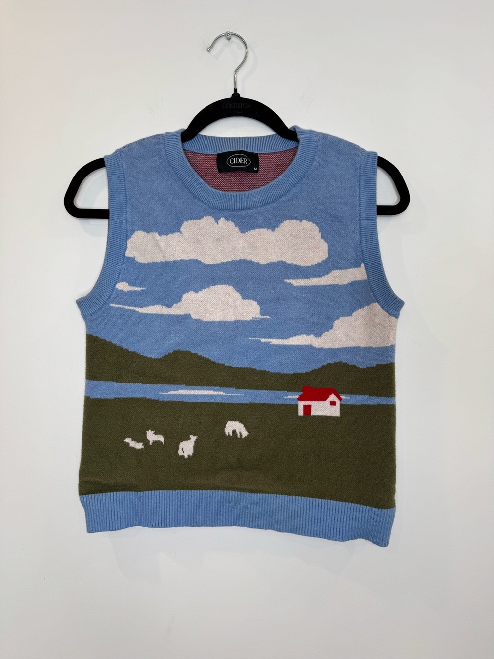 Cider perfect day Pastoral Knit Vest in Sky Blue, Olive & Red sz medium